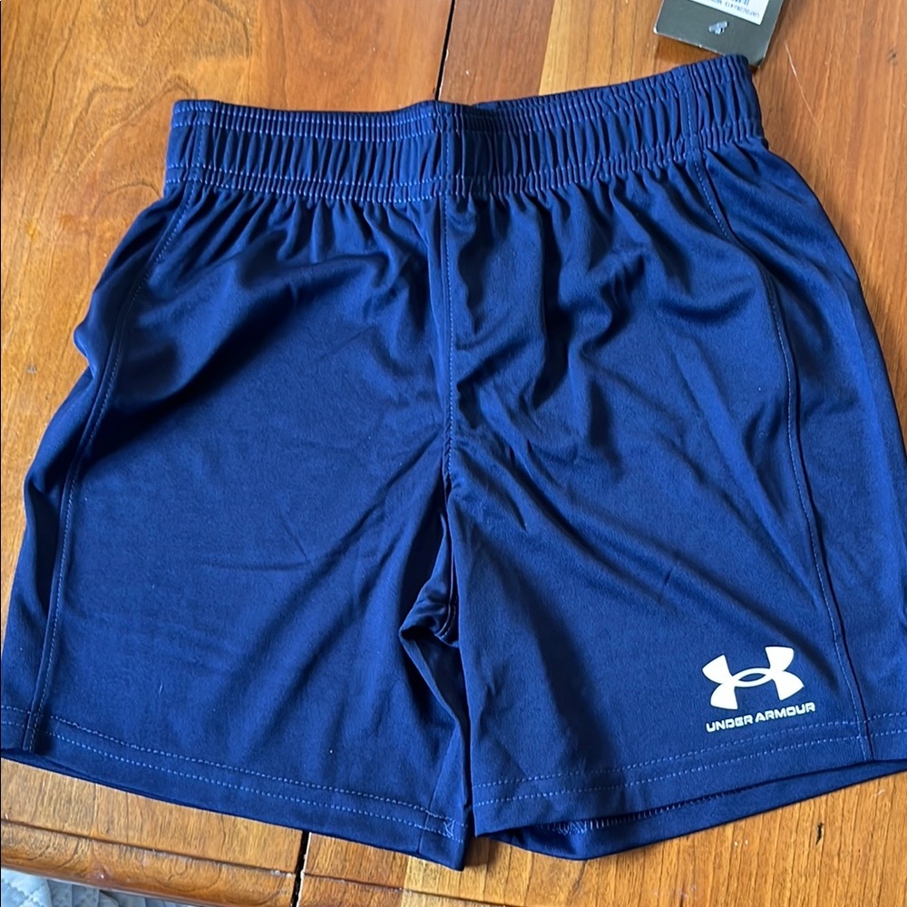 Under Armour Blue Athletic Shorts Lightweight Moisture-Wicking